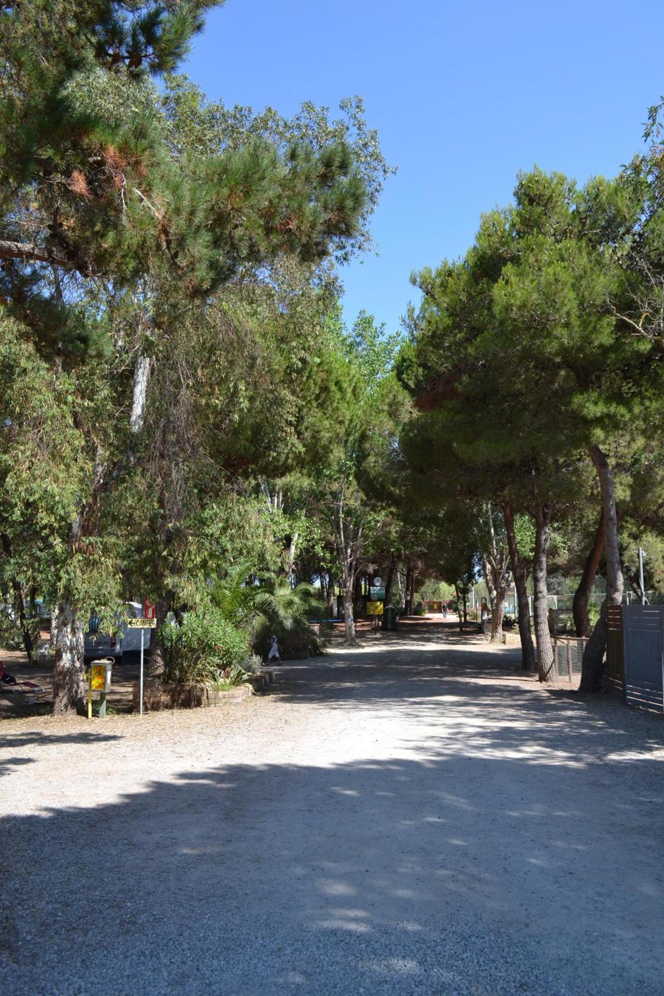 Giannella Camping Orbetello Ngoại thất bức ảnh
